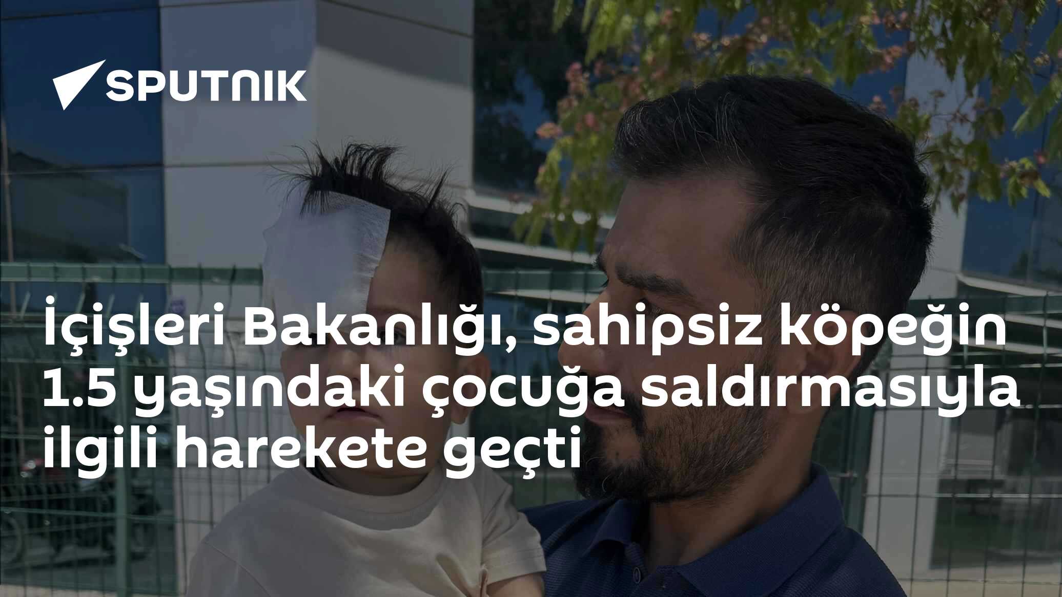 İçişleri Bakanlığı, sahipsiz köpeğin 1.5 yaşındaki çocuğa saldırmasıyla ilgili harekete geçti