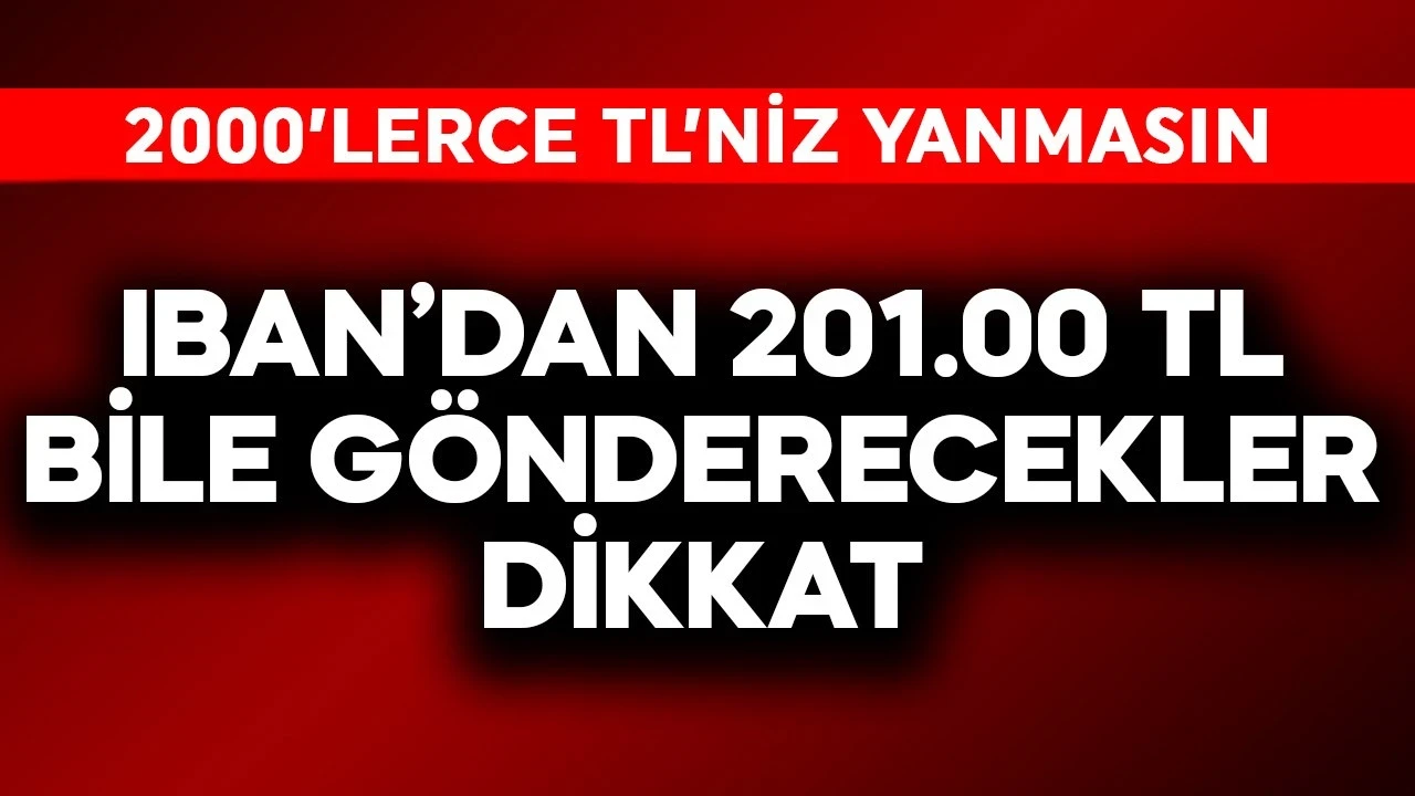IBAN'dan 201.000 TL bile gönderecekler dikkat! 2000'lerce TL'niz yanmasın