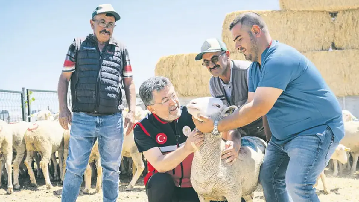Küçükbaş hayvan teslimi başladı