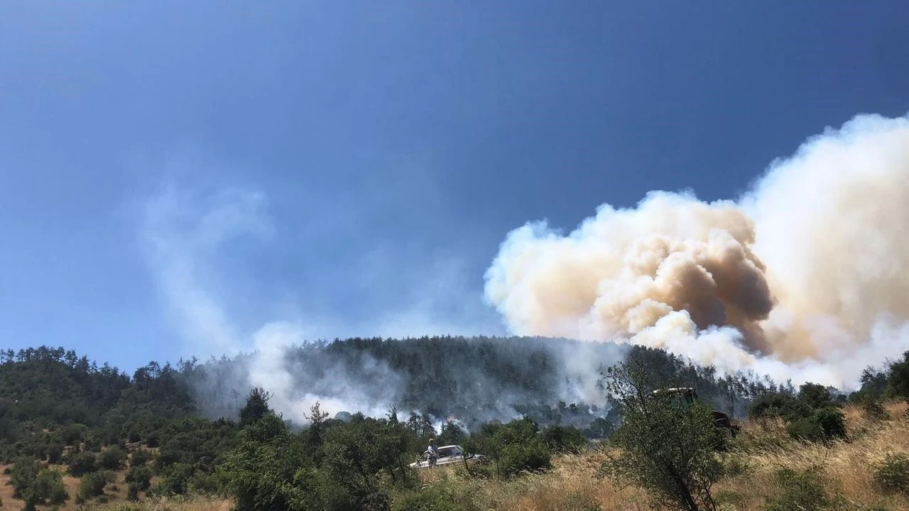 Balıkesir Kepsut'ta orman yangını! Havadan müdahale başladı