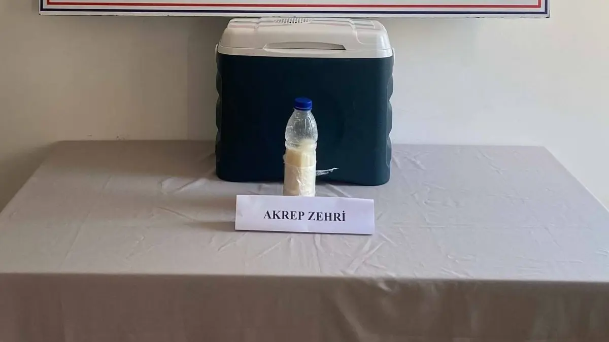 Gramı altını solluyor: Pet şişeden servet çıktı