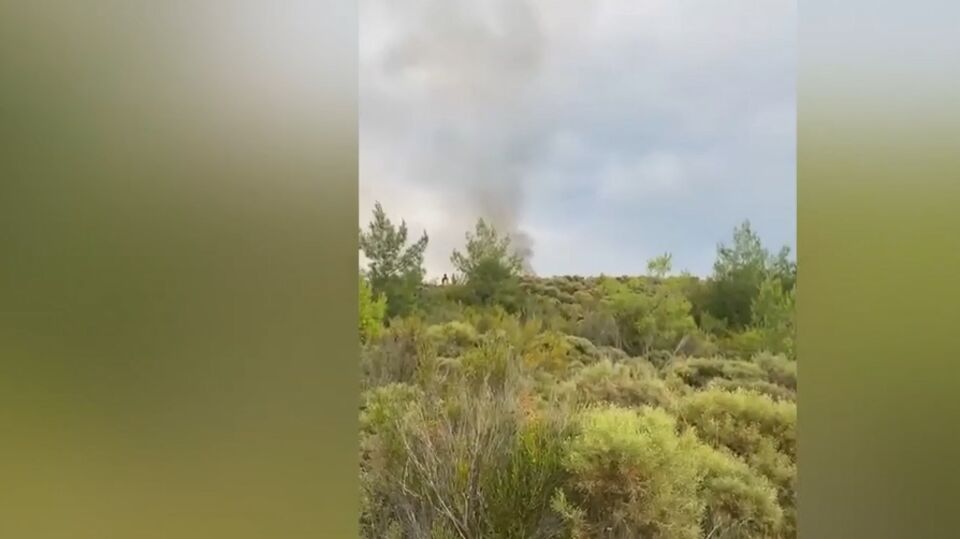 Muğla ve Aydın’da orman yangını