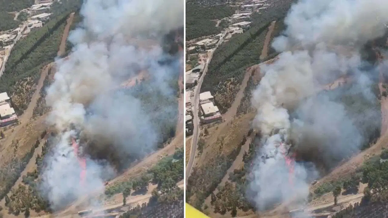 İzmir'de otluk alanda çıkan yangın ormana sıçradı