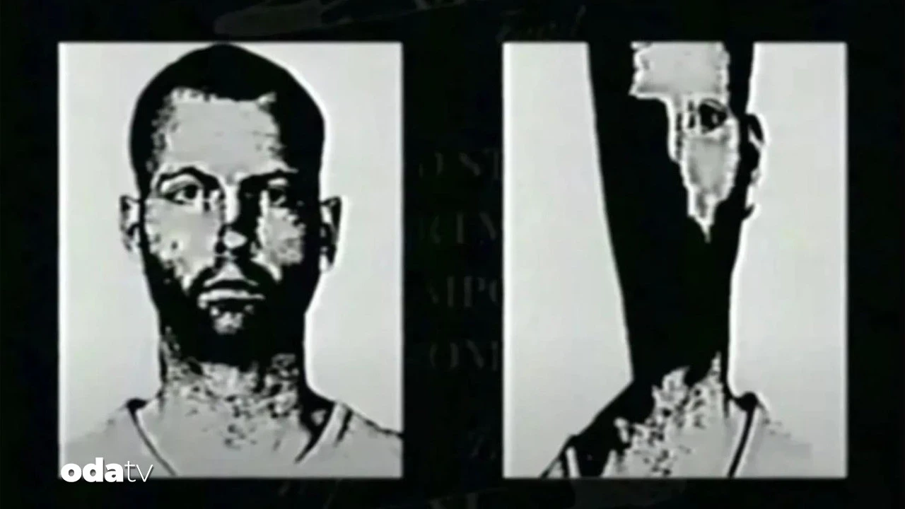 Gişelerde korku dalgası: Viral dizi The Mandela Catalogue için 11 stüdyo yarıştı
