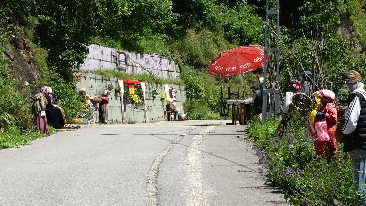 Trabzon sokaklarında sıra dışı karşılaşma: Görenler dönüp bir daha bakıyor