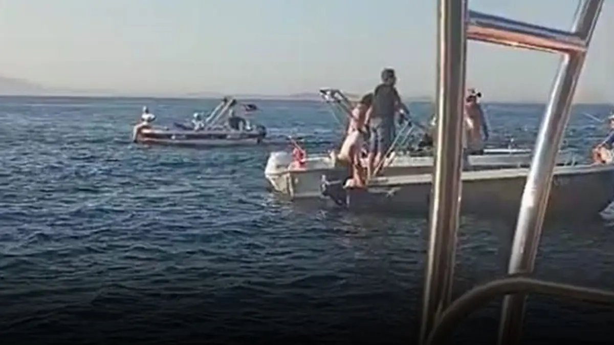 Yalova'da iki gemi birbirine girdi: 2 kişi denize atlayarak kurtuldu