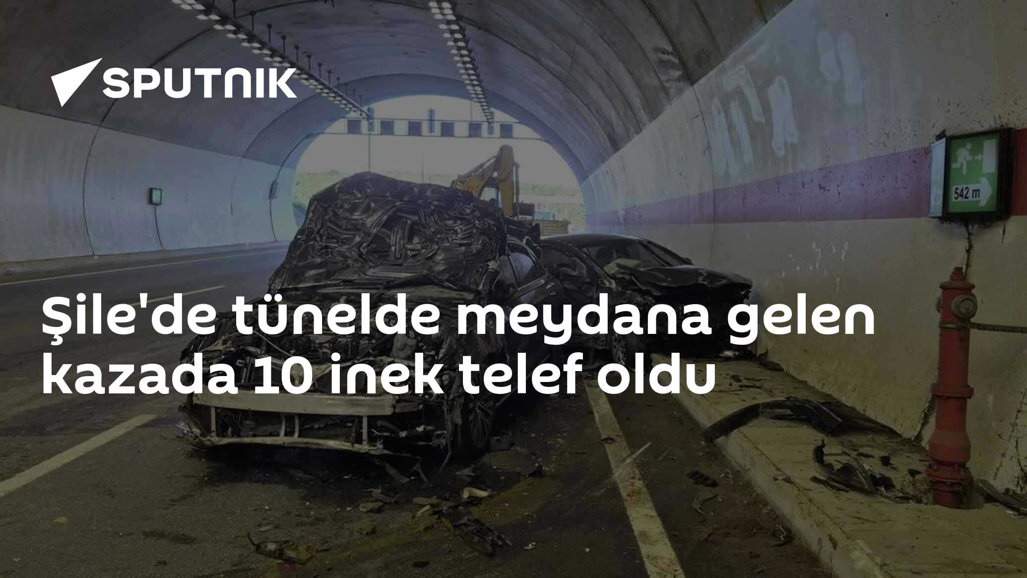 Şile'de tünelde meydana gelen kazada 10 inek telef oldu