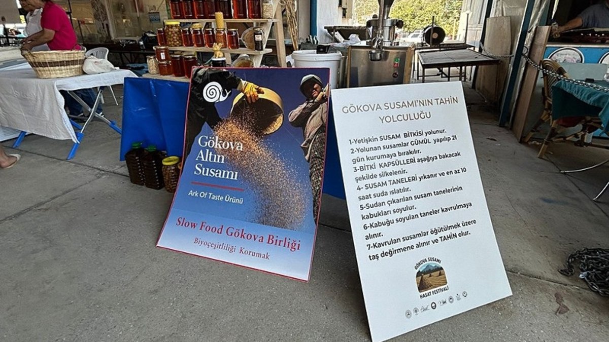 Gökova Susamı coğrafi işaretle tescillendi