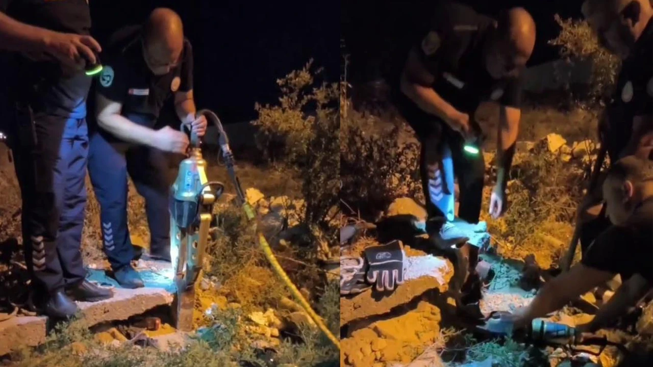 Hatay'da demir boruda mahsur kalan kirpiyi itfaiye kurtadı