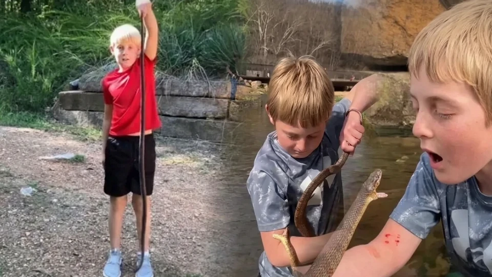 "Küçük Steve Irwin" lakaplı 12 yaşındaki çocuk herkesi şoke etti! Takipçi kazanmak için kendini tam 25 kez yılanlara ısırttı | DÜNYA HABERLERİ