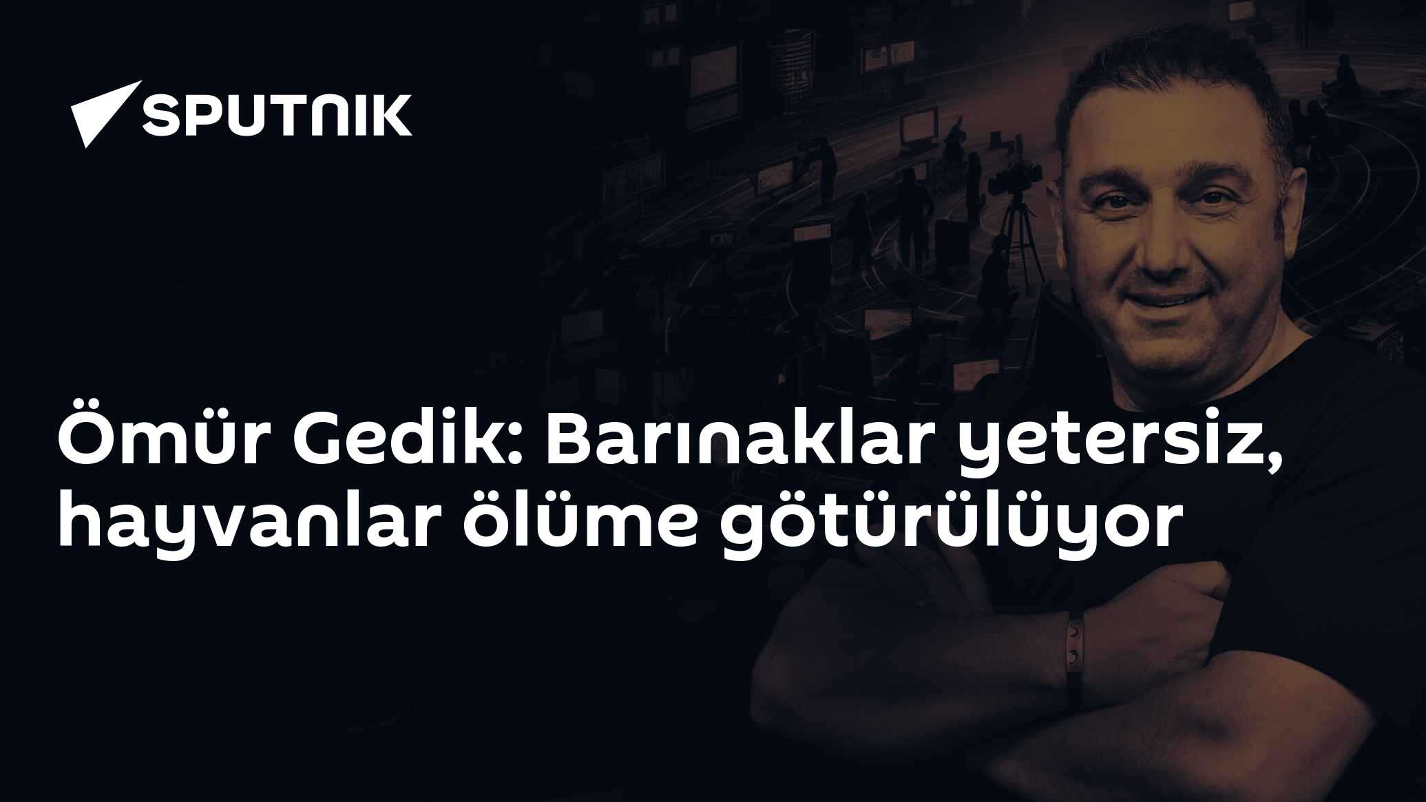 Ömür Gedik: Barınaklar yetersiz, hayvanlar ölüme götürülüyor