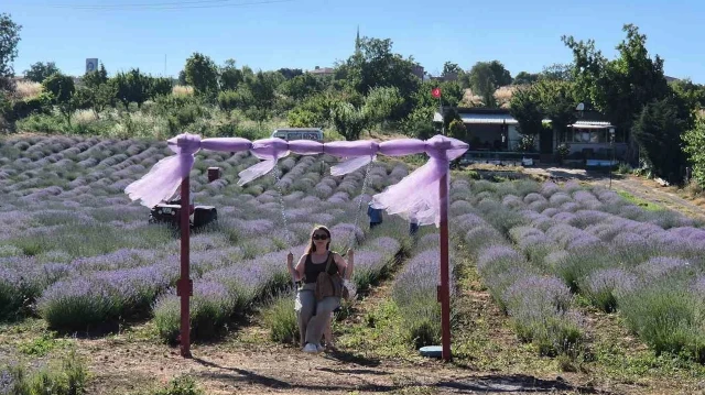 Tekirdağ lavanta kokusuna büründü: Mor tarlalarda festival coşkusu başladı