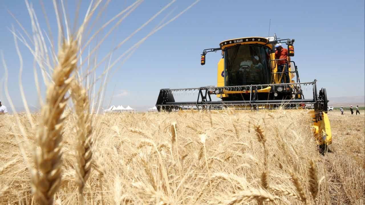 Bakan’dan güzel haber geldi! Hububat ödemeleri çiftçinin hesabında
