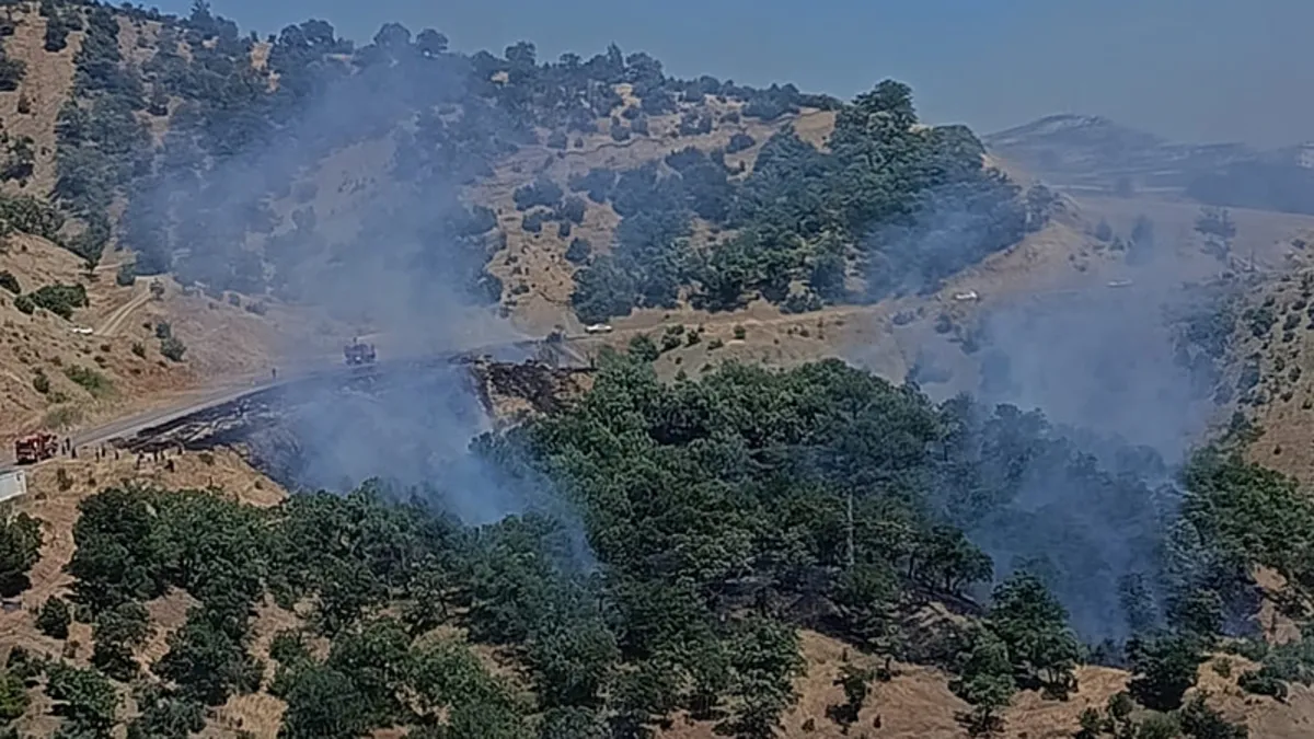 Kahramanmaraş'ta orman yangını kontrol altına alındı