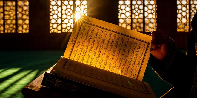 Almanya'da günde ortalama 11 Müslüman karşıtı vaka meydana geliyor