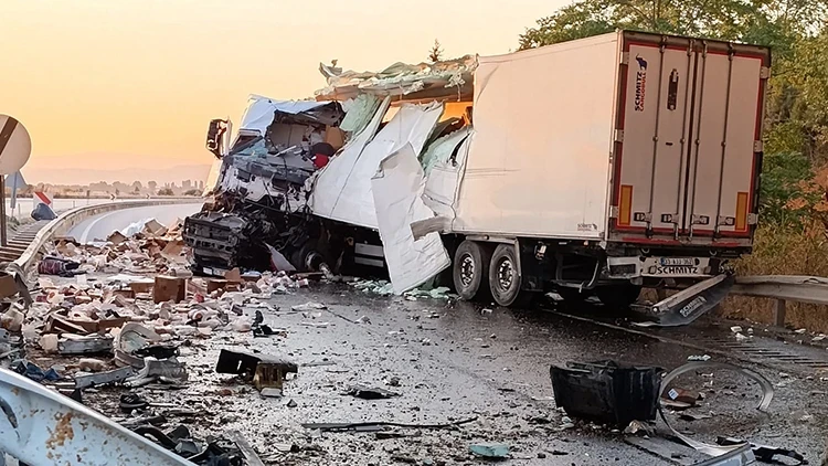 Köprüde duvara çarpan TIR’ın şoförü hayatını kaybetti