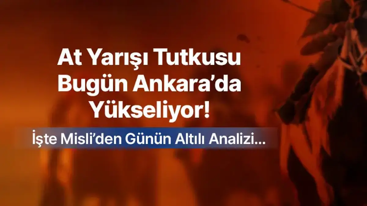 At Yarışı Tutkusu Bugün Ankara’da Yükseliyor! İşte Misli’den Günün Altılı Analizi…