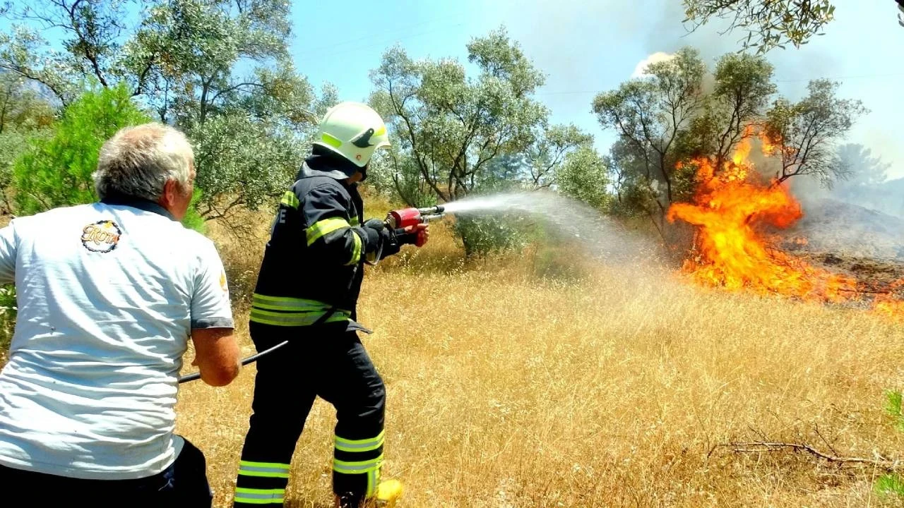 Menteşe'de zeytinlik yangını: Kontrol altına alındı