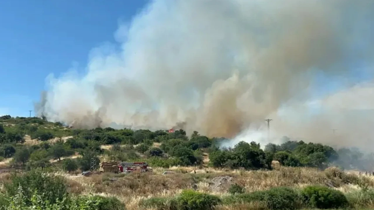 SON DAKİKA: Çanakkale'de orman yangını