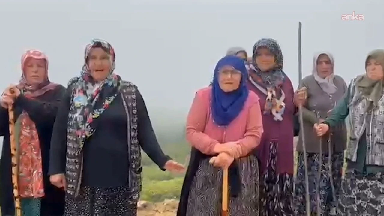 Turnalık Yaylası'nda maden direnişi: Kadınlar şirkete izin vermedi