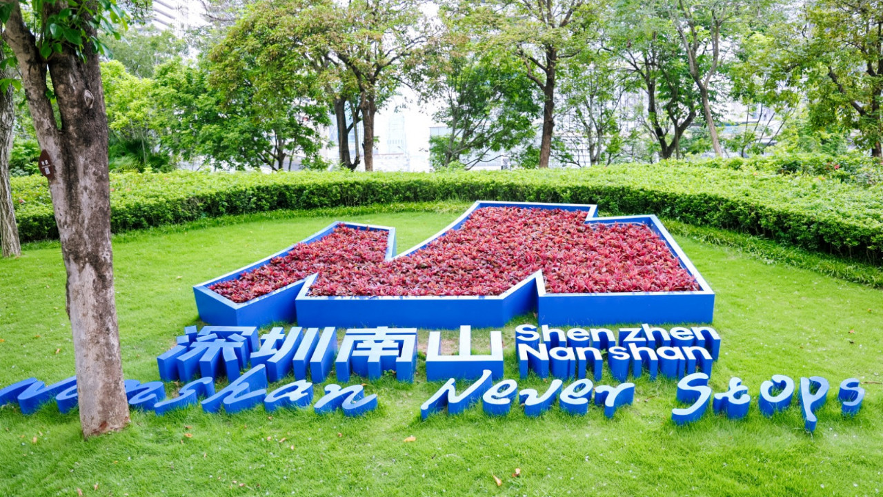 Shenzhen'in Yeşil Yüzü