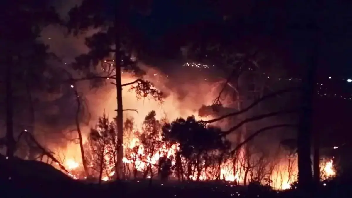 Muğla’da orman yangını