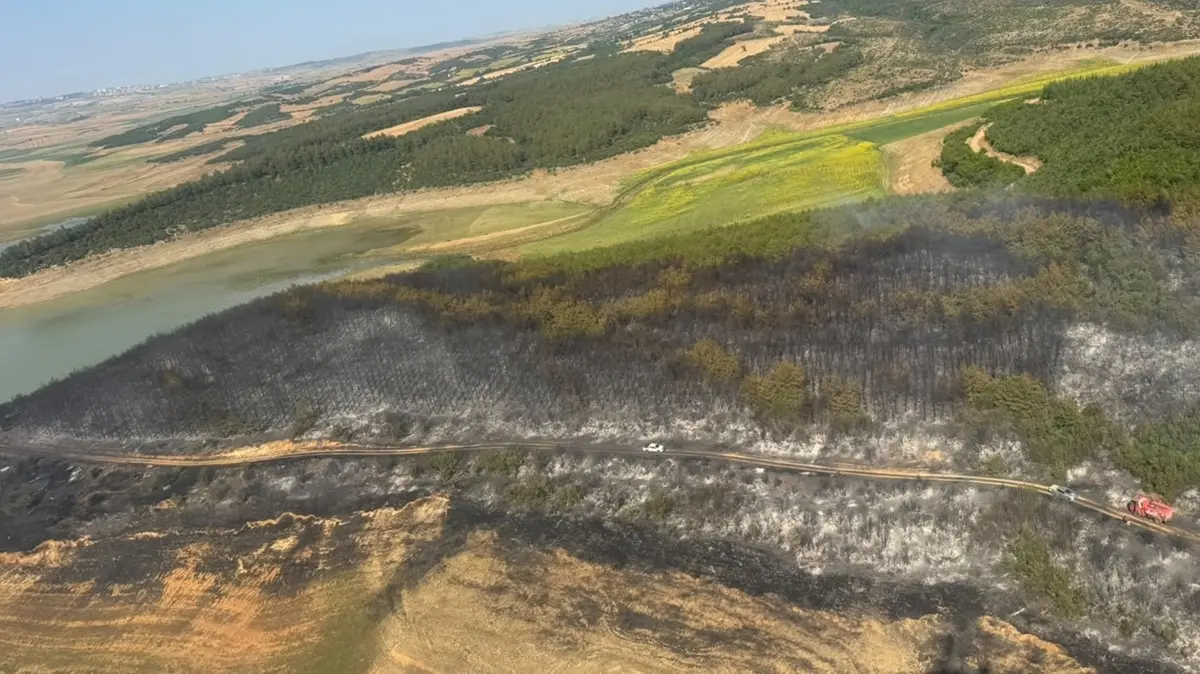 Tekirdağ'da 80 dekar ormanlık alan kül oldu: 3 helikopter ve 1 uçakla söndürüldü