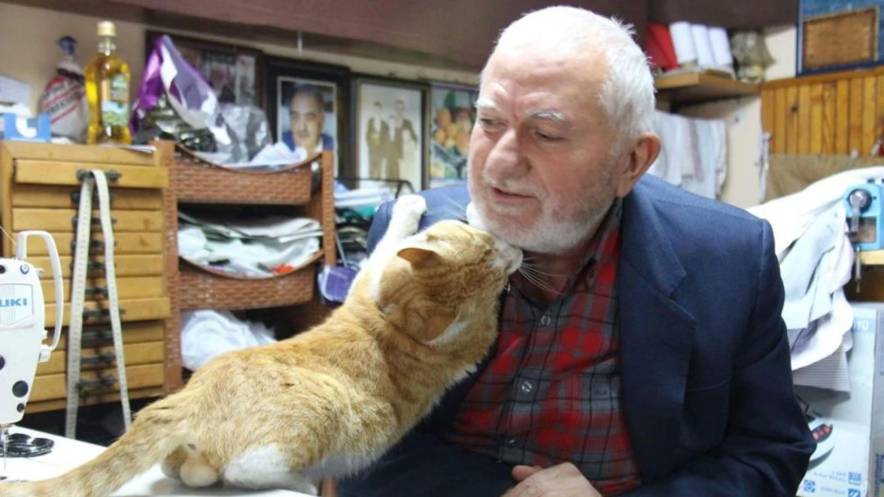 Kimsesiz kedilerin dedesi oldu, sıcacık yuva verdi