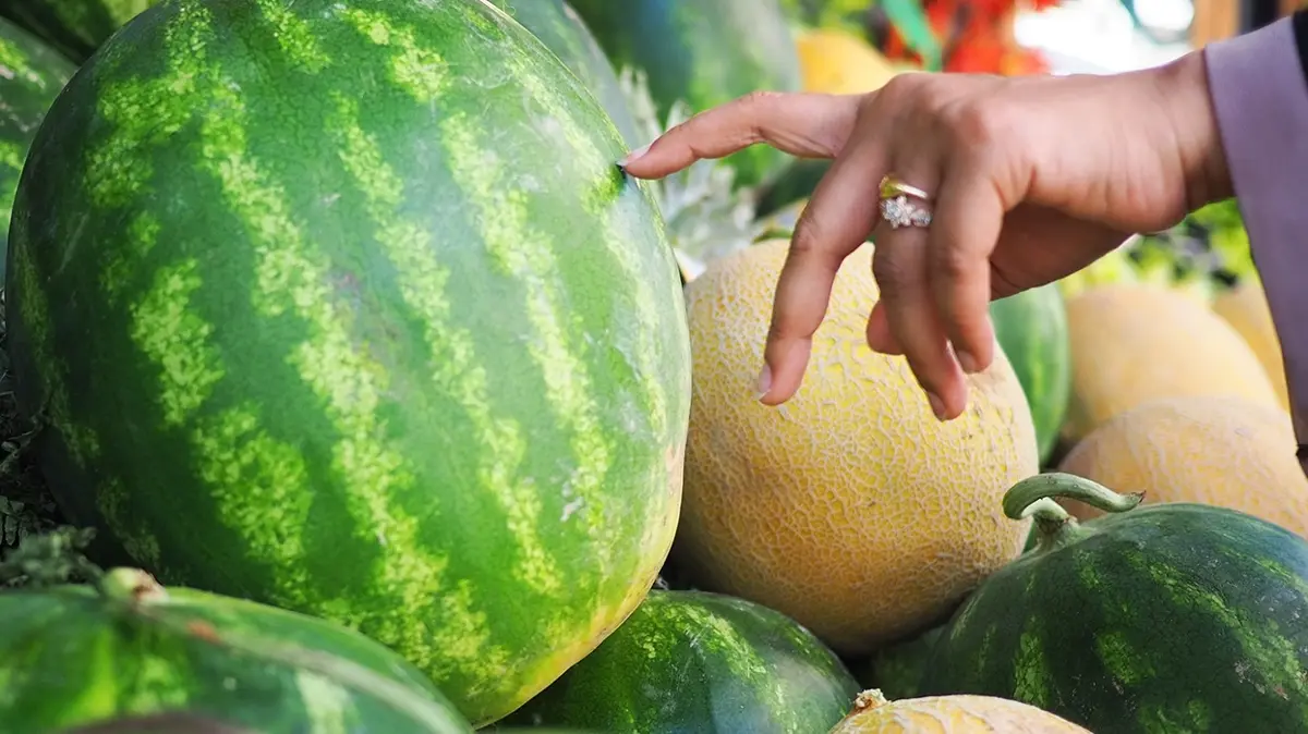 Karpuz ve kavun nasıl seçilir" Lezzetlisini arayan baksın!