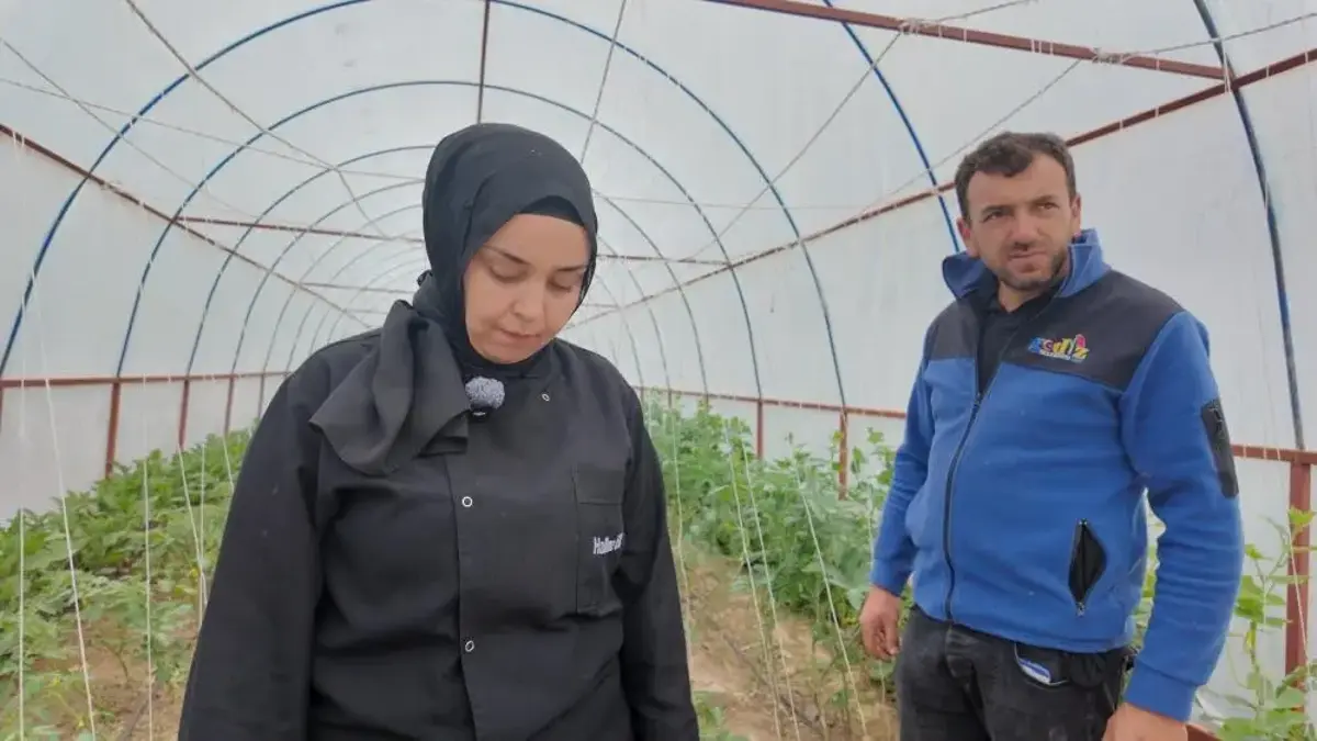 Kütahya'ya gidenler bu lezzetin peşine düşüyor: Şefler sabah seradan toplayıp öğlen fırına atıyor! Ilıca Termal Tatil Köycü'nde 'tarladan sofraya' dönemi