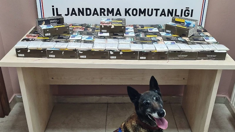Yol kontrolünde 10 bin doldurulmuş makaron ele geçirildi