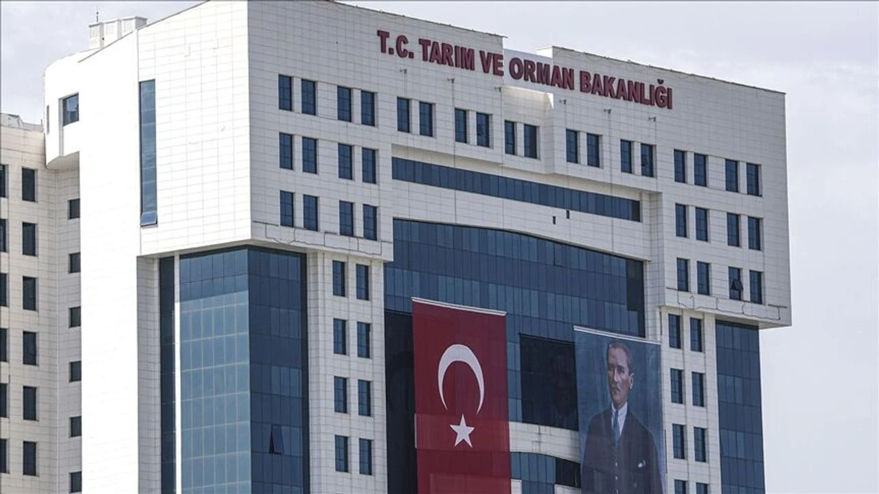 Binlerce personel alınacak! Bakan müjdeyi verdi