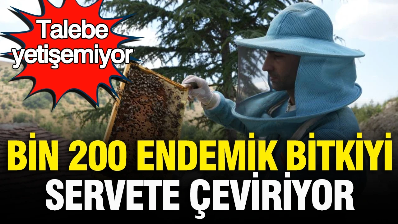 Talebe yetişemiyor: Bin 200 endemik bitkiyle üretilen balı tüm Türkiye’ye satıyor
