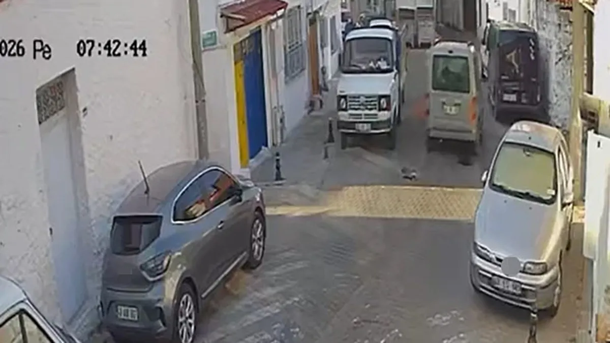 Muğla'da böyle vicdansızlık görülmedi! Arkasına bakmadan kaçtı…