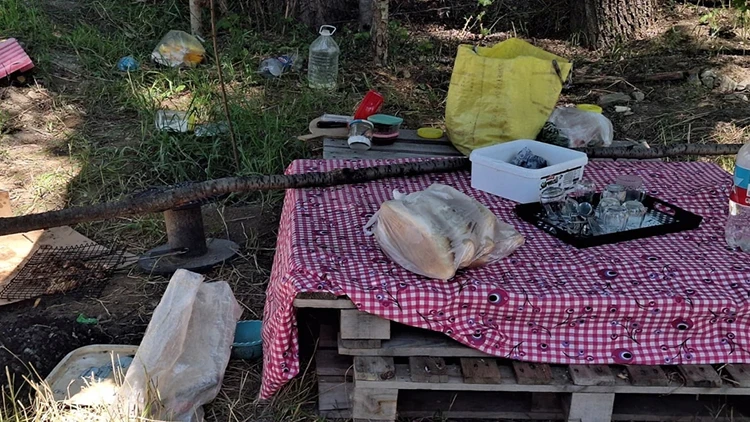 Ankara’da piknik keyfi cinayete döndü! Tartıştığı eşini bıçaklayarak öldürdü
