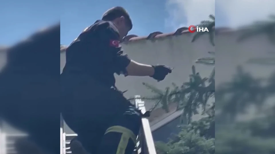 Kütahya’da Ağaçta Mahsur Kalan Serçeyi İtfaiye Ekipleri Kurtardı