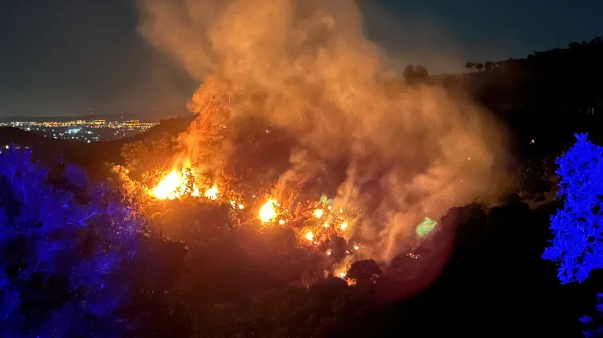 İzmir'de ormanlık alanda yangın... Alevlere müdahale ediliyor