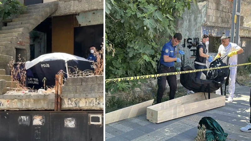 Kaybolan kedisini ararken ceset buldu