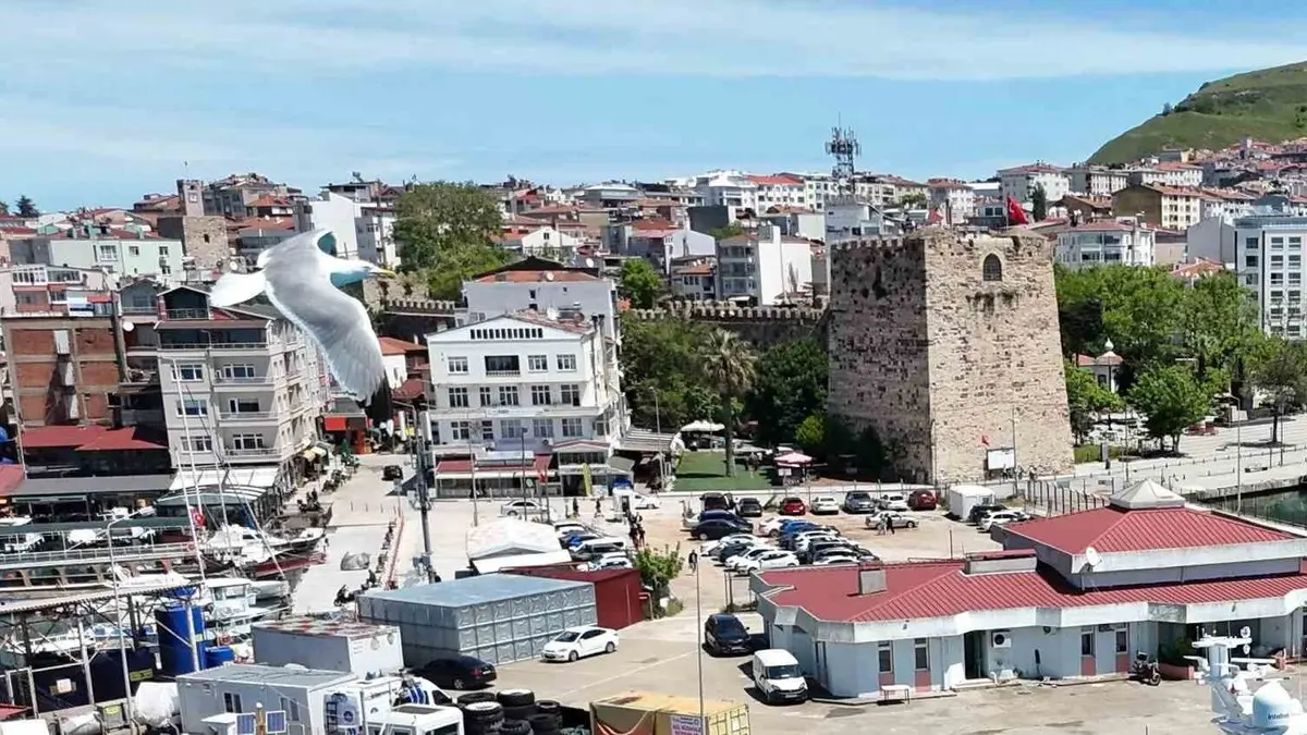 Sinop’ta trafiğe kayıtlı araç sayısı 87 bin 412 oldu: Motosiklet ilk sırada