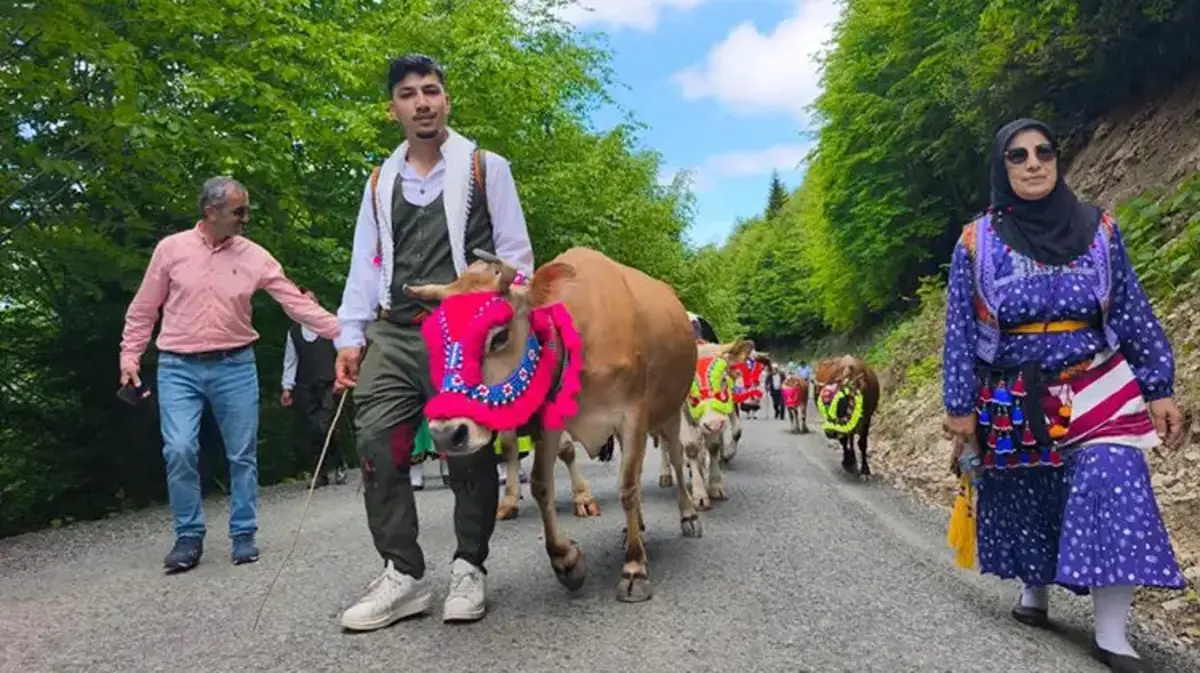 Trabzon'da geleneksel göç başladı! Yaylalar yeniden canlanıyor