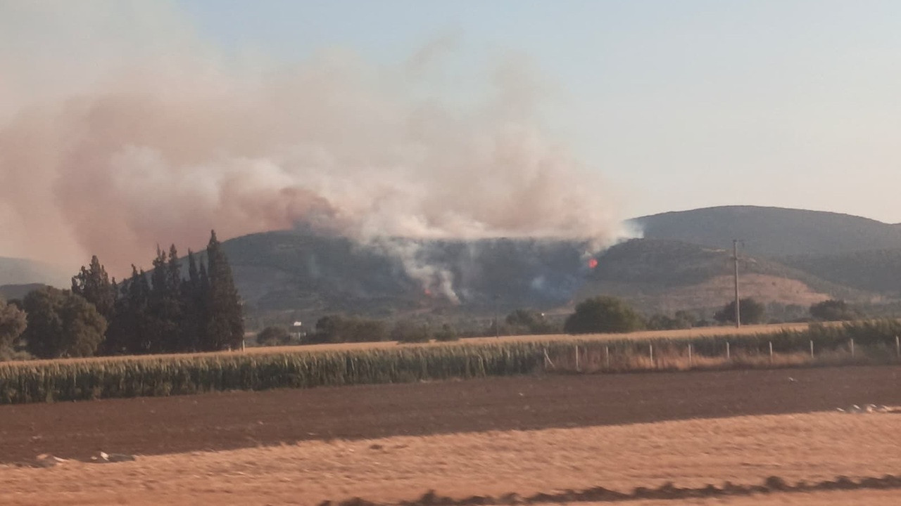İzmir Torbalı'da orman yangını: Havadan ve karadan müdahale sürüyor