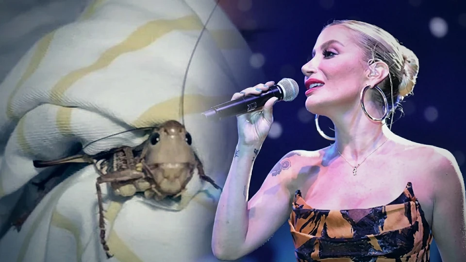 İrem Derici konser verdiği sırada dev çekirgelerin ortasında kaldı: 'Mikrofon uzatıp adını sordum'
