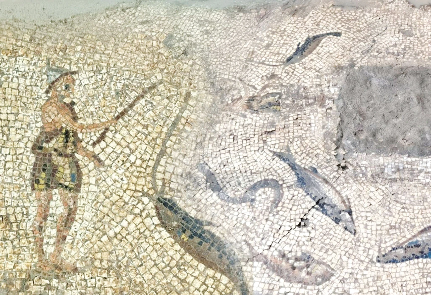 Roma mozaikleri görücüye çıktı