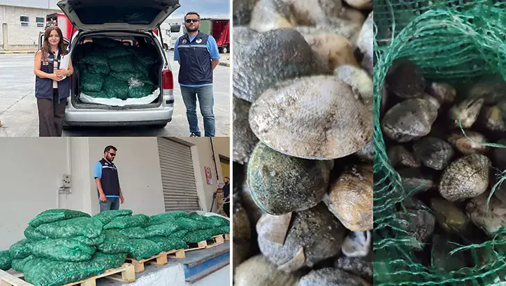 Kapıkule Sınır Kapısı'nda kaçak akivades operasyonu! Kesilen ceza dudak uçuklattı