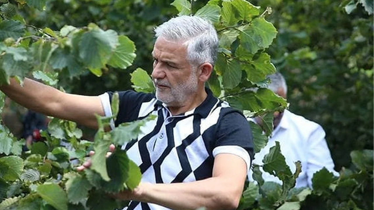 Başkan Akça'dan sert fındık çıkışı: Bu soygun düzenine artık dur deyin