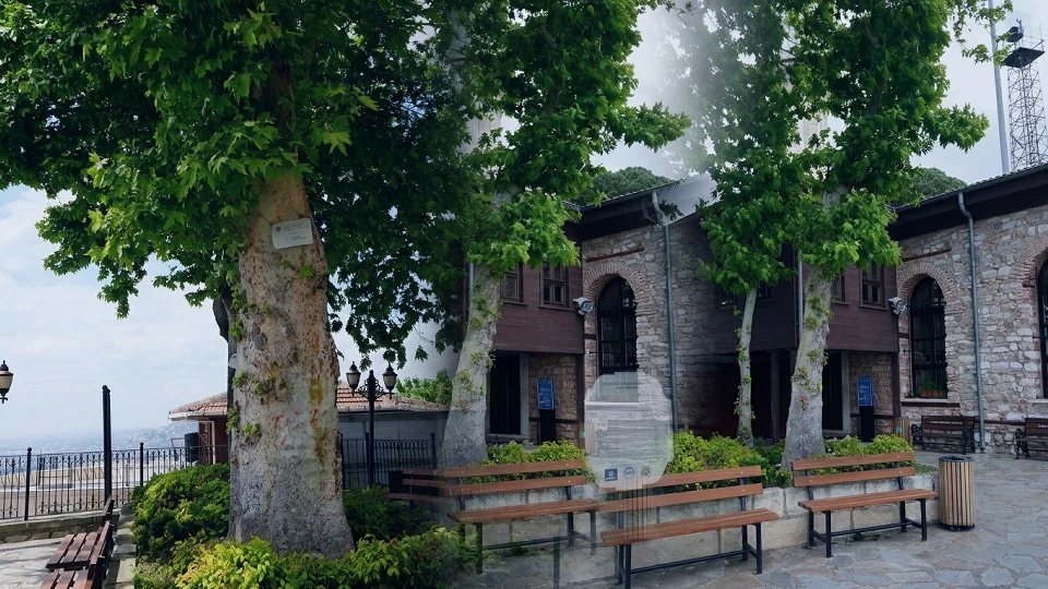 Kocaeli'deki tarihi Kılıçlı Cami bahçesi: Altı asırlık çınar ağacı zamana direniyor | YEREL HABERLER