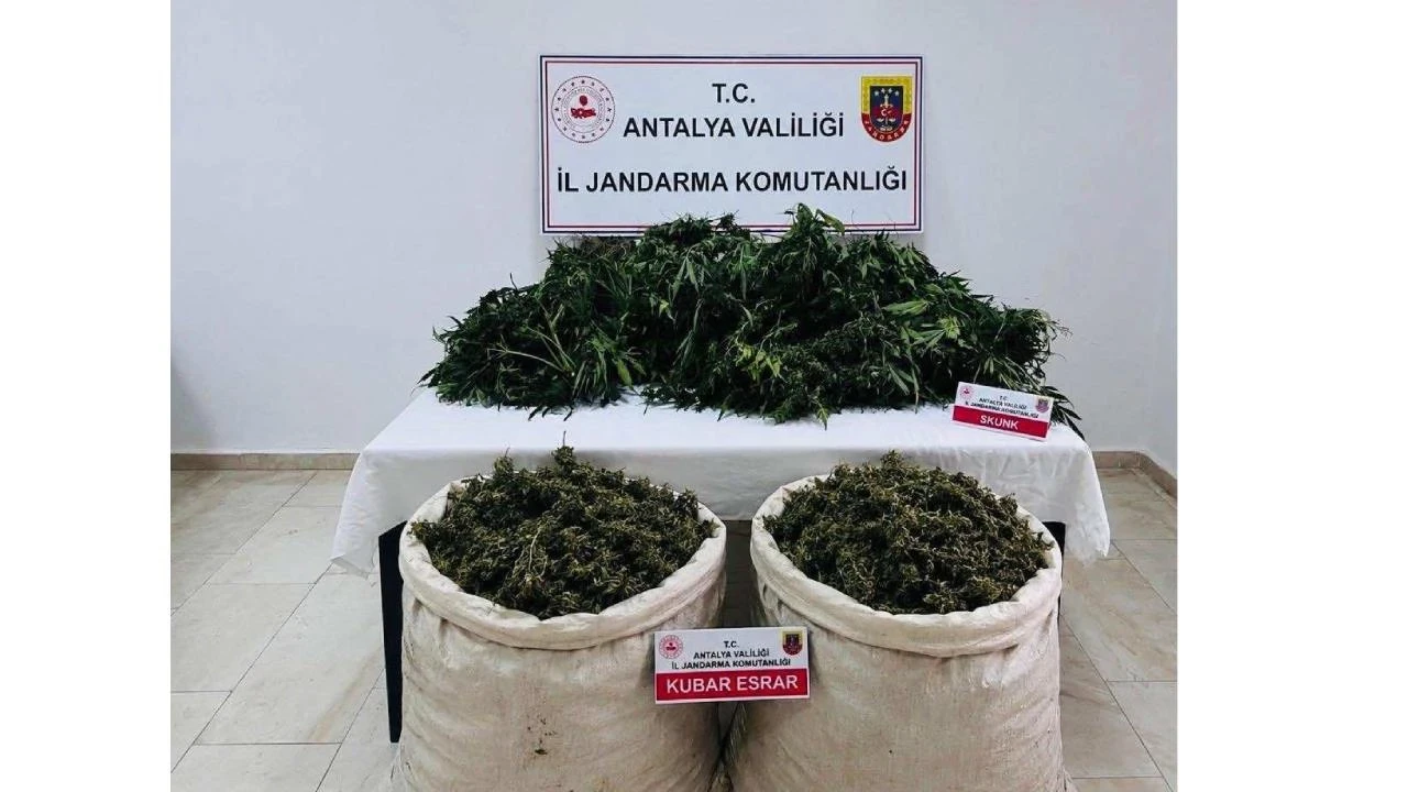 Antalya'da uyuşturucu operasyonu: 11 kilo esrar ve 200 kök kenevir ele geçirildi
