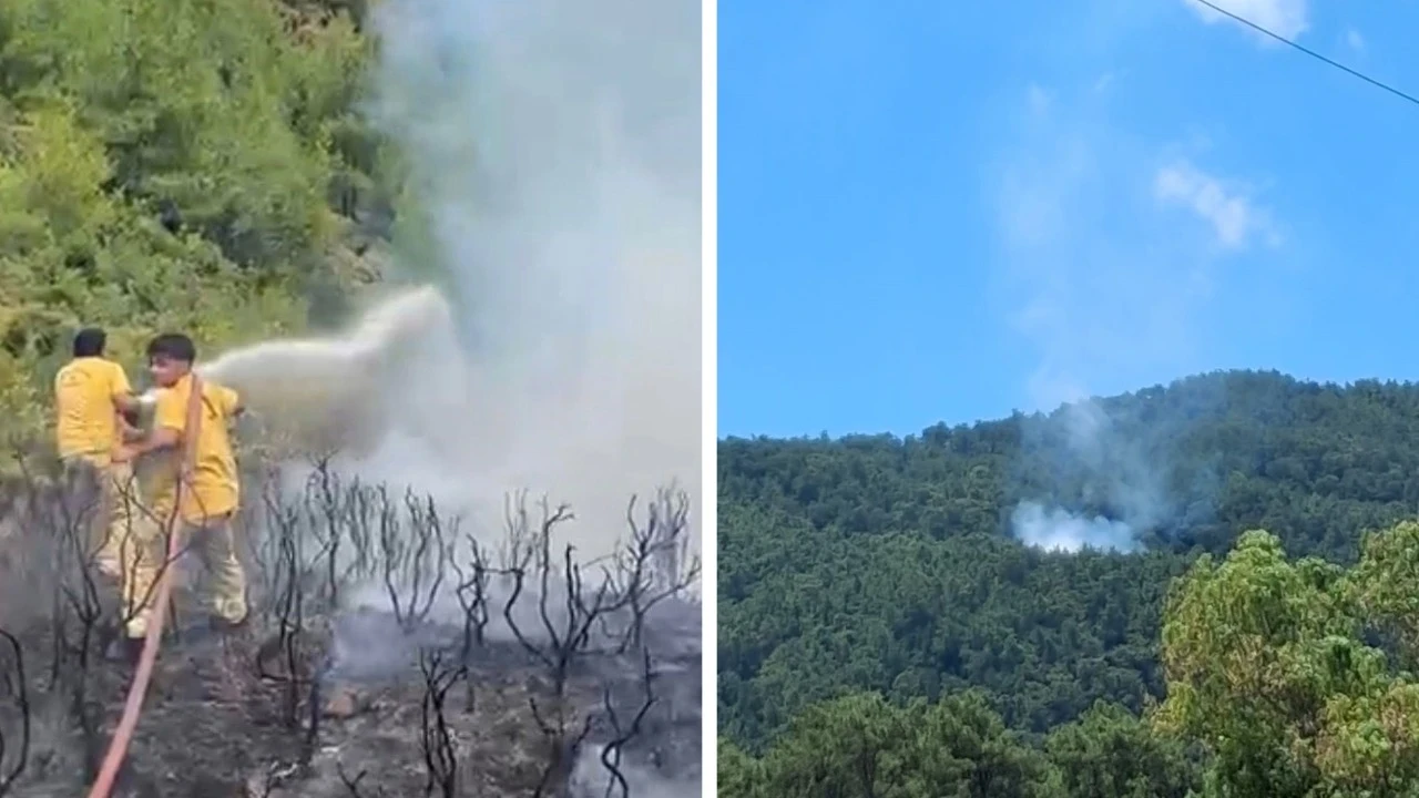 Muğla'da yıldırım yangınları