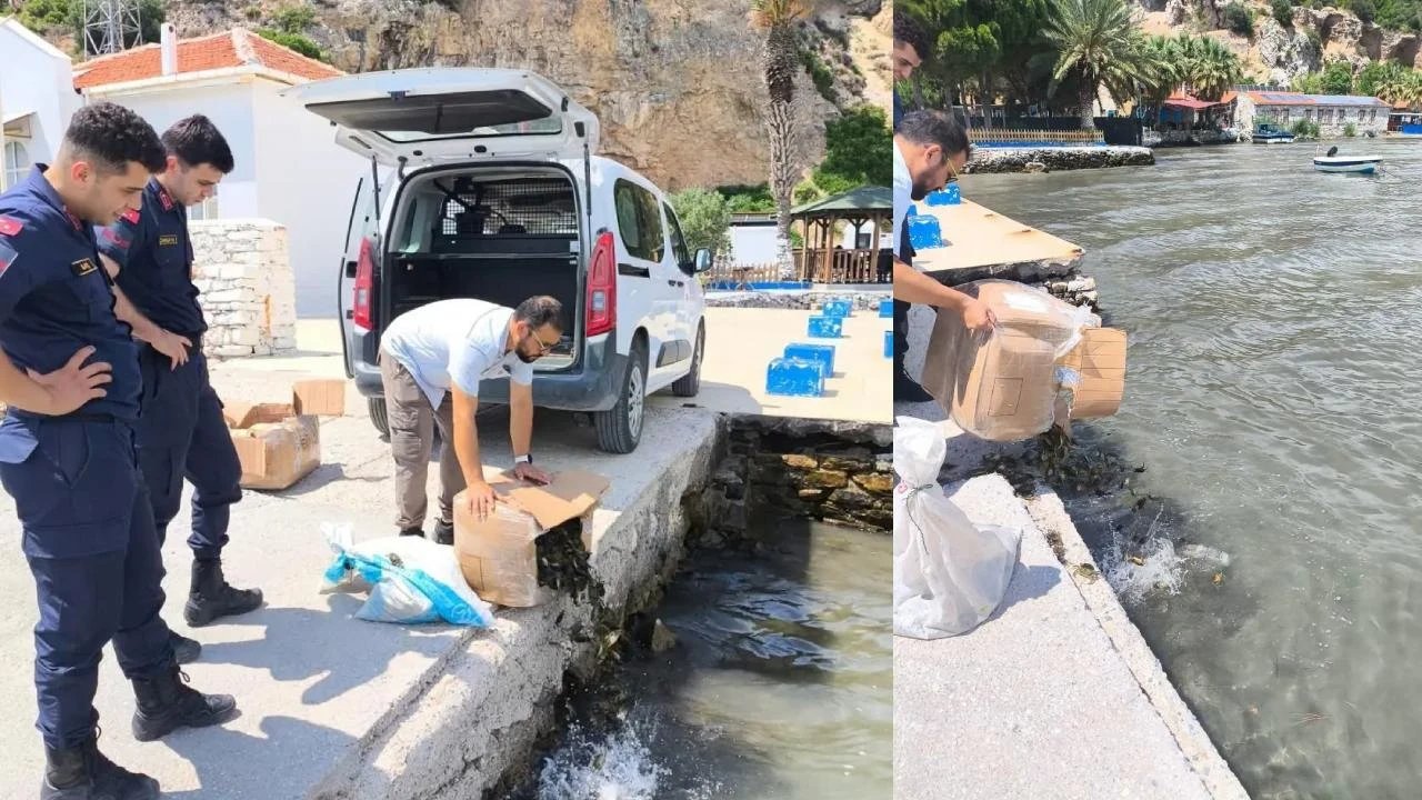 Belgesiz taşınan 8 bin canlı yengeç ele geçirildi