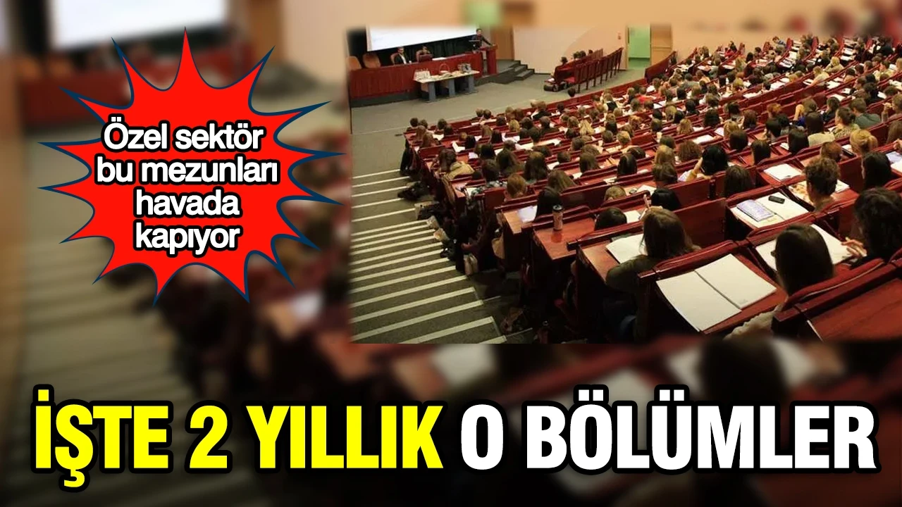 Özel sektör bu mezunları havada kapıyor: İşte 2 yıllık o bölümler